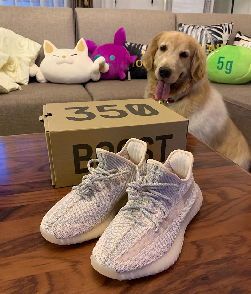 adidas Yeezy Boost 350 V2 “Synth Reflective”